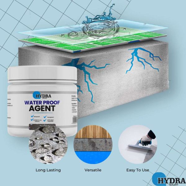 Hydra Waterproof Agent | Super Strong Invisible Waterproof Anti-leakage Agent | Instant Repair Waterproof Anti-leakage Agent – 300gm With Brush